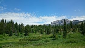 DSC_1628.jpg